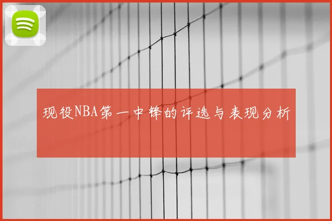 现役NBA第一中锋的评选与表现分析